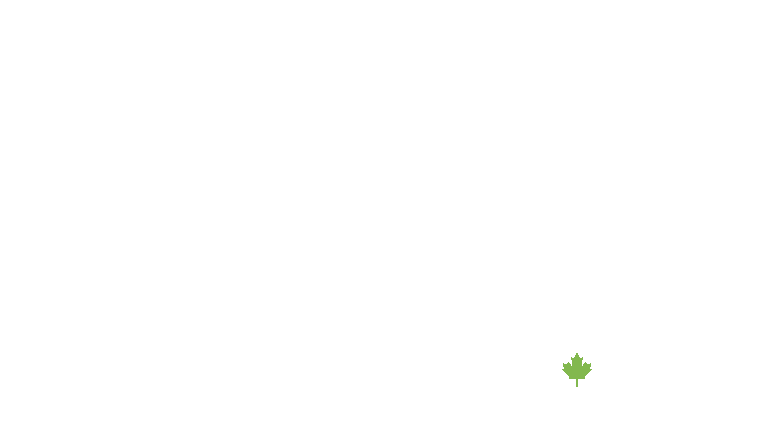 Wizard Tower
